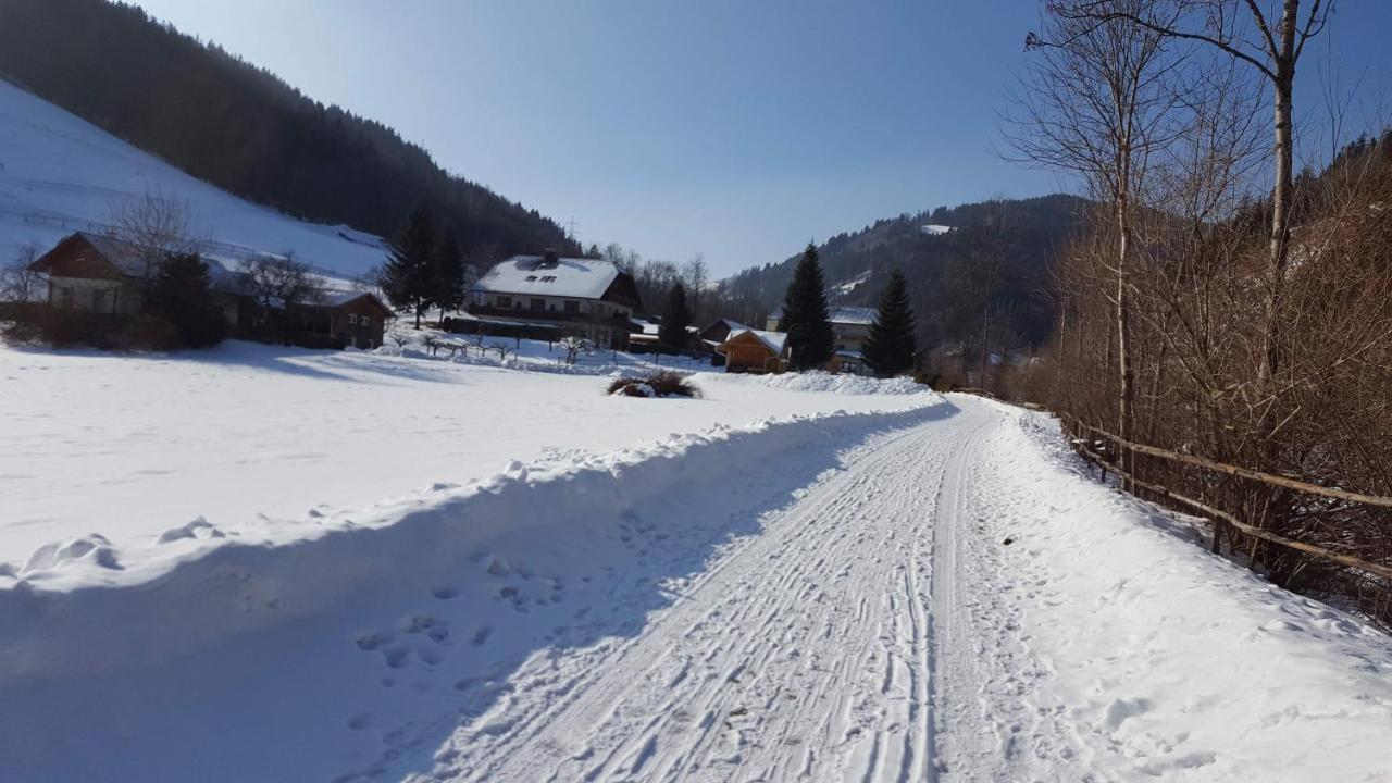 Готель Hubertushof Trattenbach  Екстер'єр фото